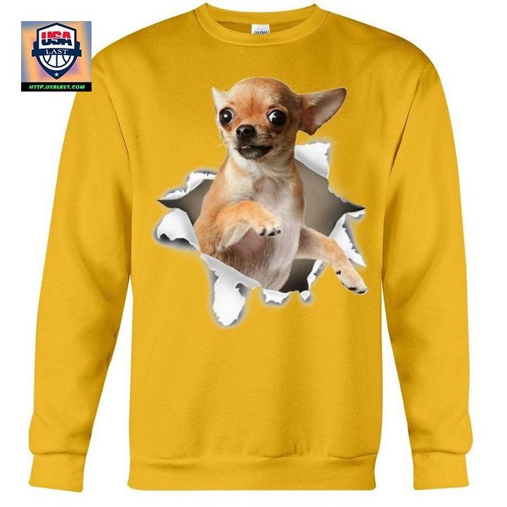 Chihuahua Torn Funny Gift For Chiahuahua Lovers Sweater