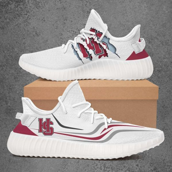 Hampden Sydney College Tigers NCAA Sport Shoes Sneakers