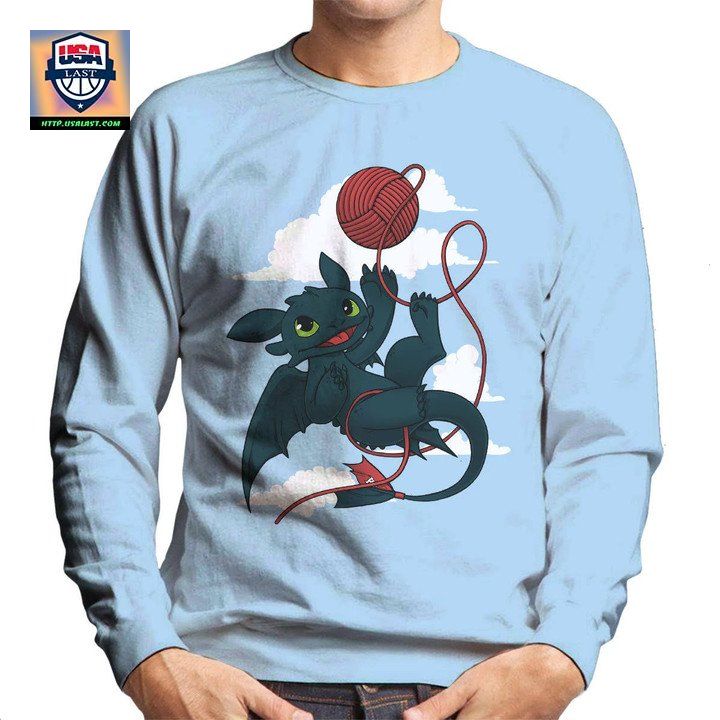 How To Train Your Baby Dragon Graphic Unisex T Shirt Sweater