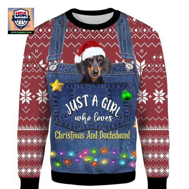 Just A Girl Who Loves Christmas And Dachshund 3D Sweater